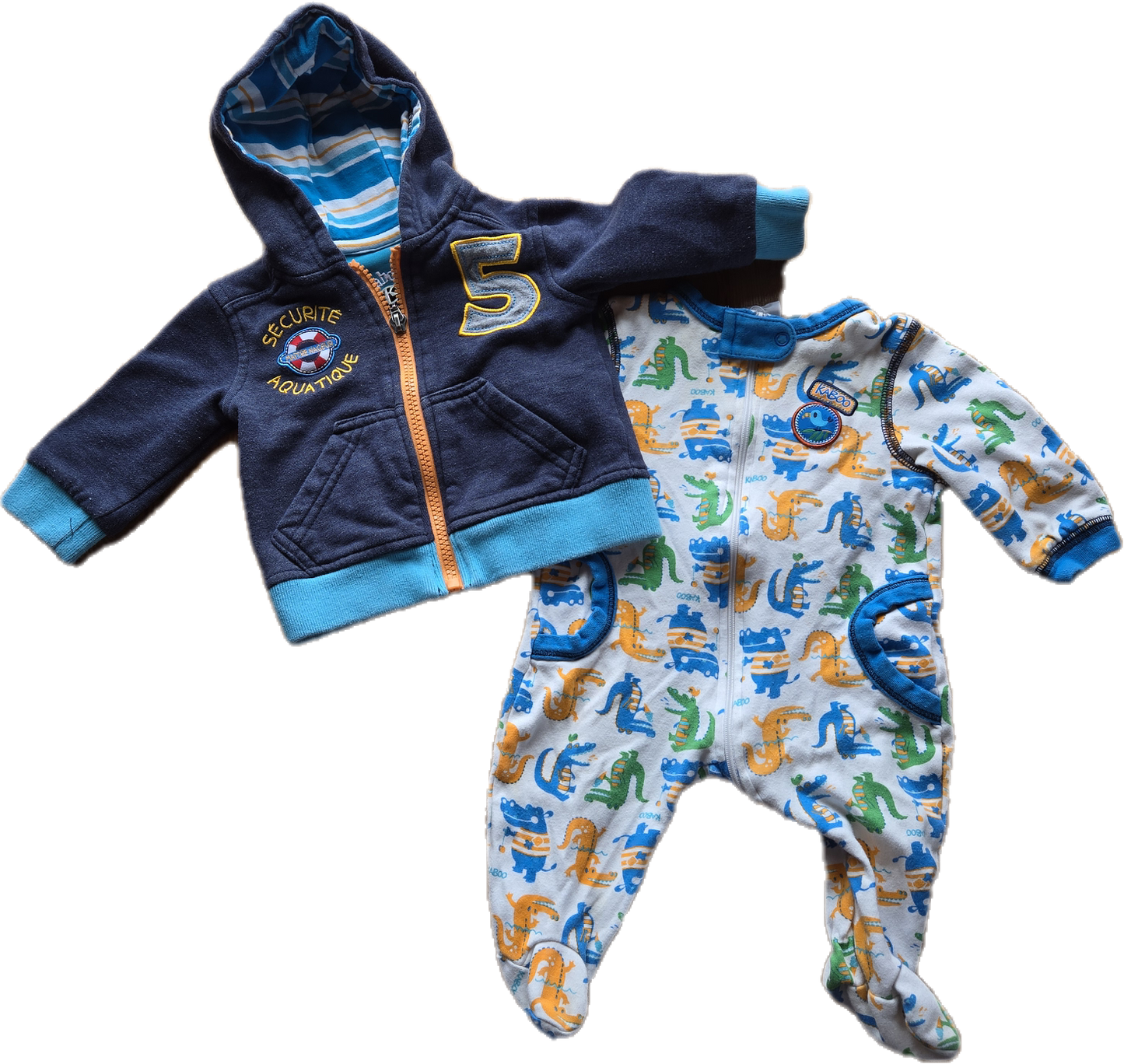 G - Ensemble croco-hippo