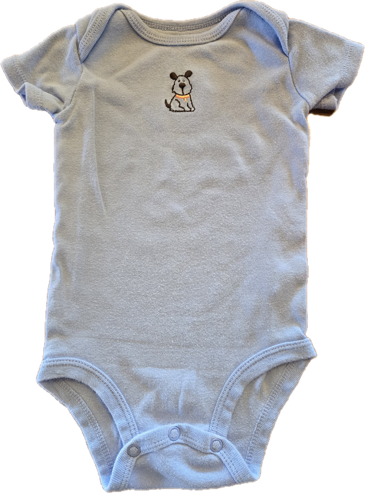 G - Cache-couche bleu pâle chien - 6 mois